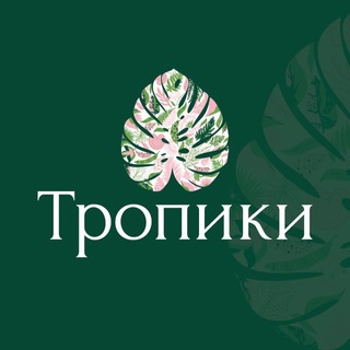Тропики🌿