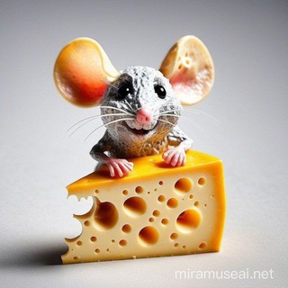 🧀ТВОЙ СЫРОВАР🧀. СЕРТОЛОВО. Спб.89533674820