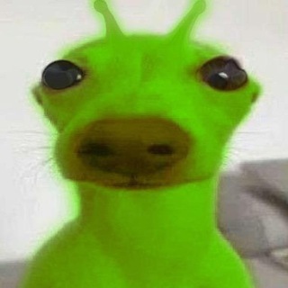 Подвалыня ⋆