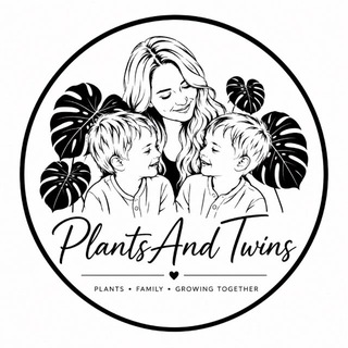 PlantsAndTwins | комнатные растения • Ростов