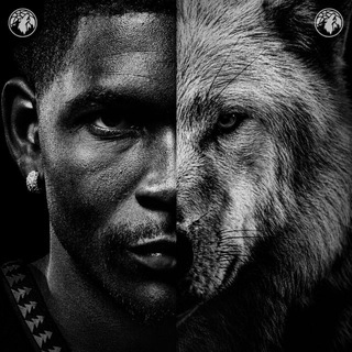 Волчья стая | Minnesota T-Wolves