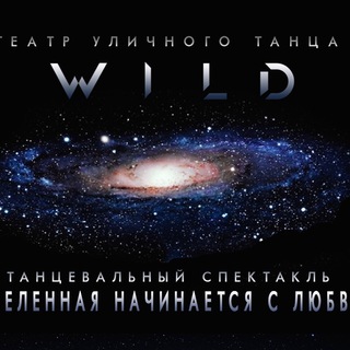 Театр Уличного Танца «WILD»