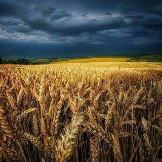 Реферальные🌏Программы🌏Программа