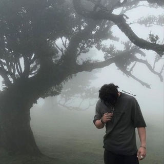 کلیسای سنت پترزبورگ