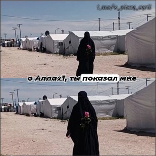Сирийская пленница