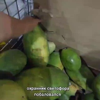 наВЭЛьный
