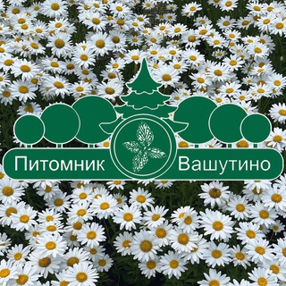 Вашутино Садовый центр