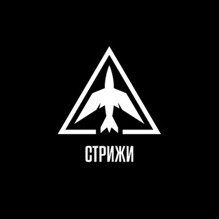 ВБС Стрижи