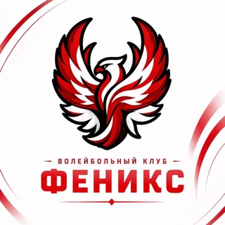 Волейбольный клуб «ФЕНИКС»