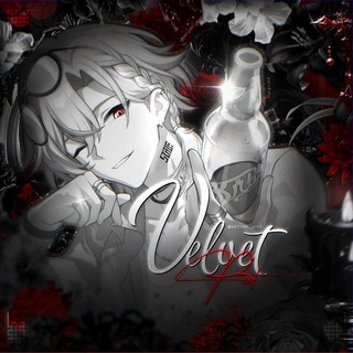 癒 | 𝑉𝘦𝑙𝑣𝘦𝑡 𝑃𝘰𝑟𝑡