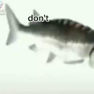oFISHial