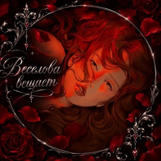 Веселова вещаетও ‧₊˚
