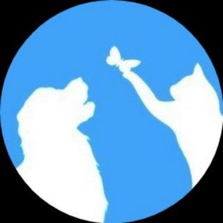ВетеринарнаяКлиника ШейлаВет