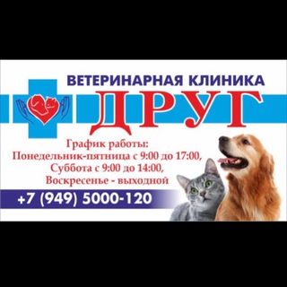 Аватар канала 🐾ДРУГ🐾Ветеринарная клиника @vetdrugmarik