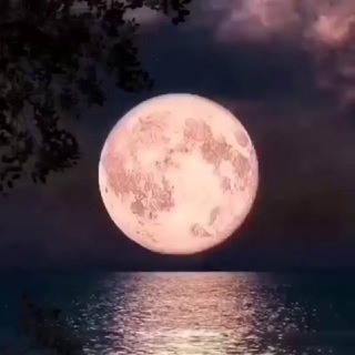 𓆩⋆ᘎɩᑯᥱo ✶ ᙖɩꙆᑯᥱɾ ✶ ᘜᥲꙆᥱrιᥱ⋆𓆪