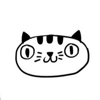 кот
