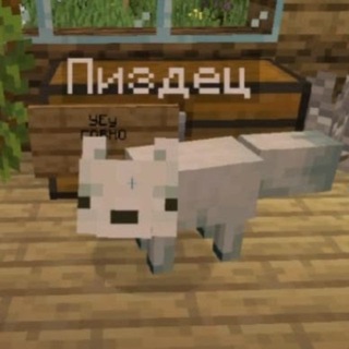 витчи спит
