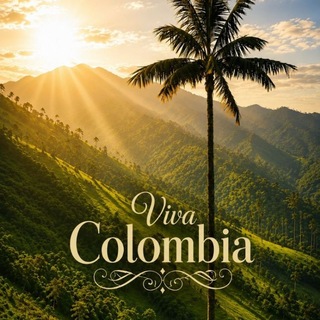 Elfenwerk🧚‍♂️Viva Colombia ☀️