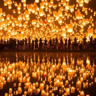 Die Lichtung ✨💜✨ Energetische Harmonie