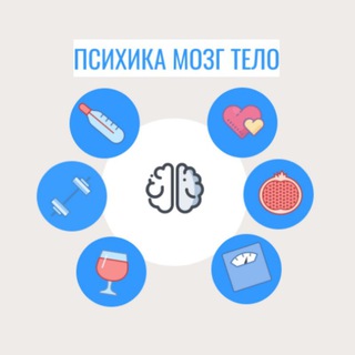 Психика Мозг Тело