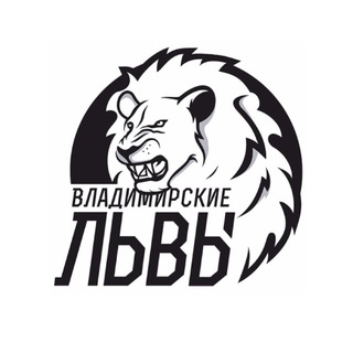 БК «ВЛАДИМИРСКИЕ ЛЬВЫ»