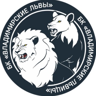 БК «ВЛАДИМИРСКИЕ ЛЬВИЦЫ»