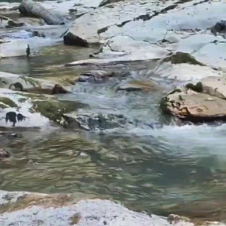 ⛰Организация туров и мероприятии ( Сочи/Абхазия)