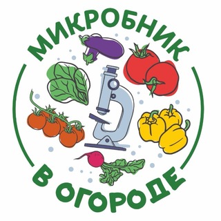 В огороде