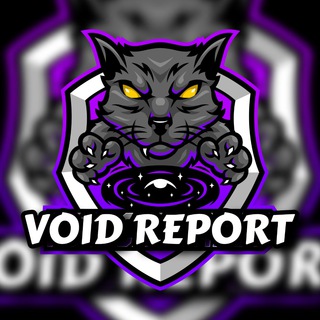 Void Report