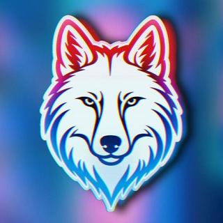Volfin Studio🐺