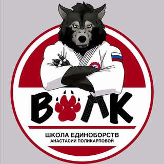 Школа единоборств «ВОЛК»