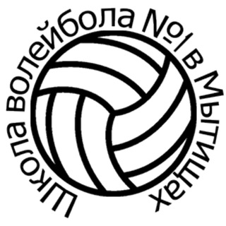 Школа волейбола № 1 в Мытищах