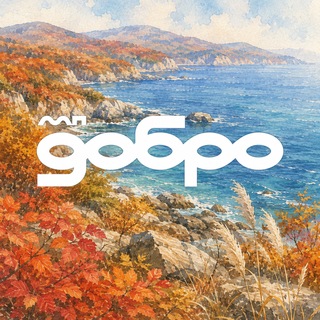 Волонтёры Приморья