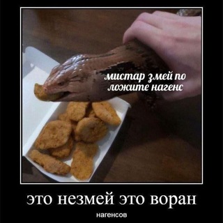 Воран нагенсов