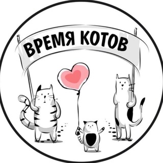 ВРЕМЯ КОТОВ