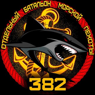 Чёрные береты 382 ОБМП.