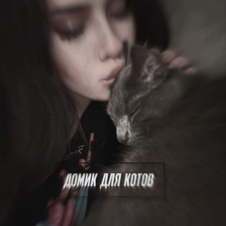 архив||домик для котов 🐈
