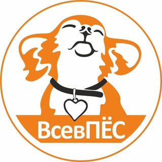 Приют "Всеволожский пес"🐕