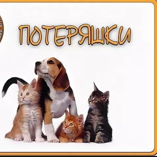 Пропала/Найдена собака (Краснодар)