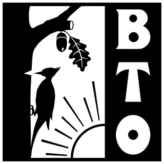 ВТО МИФИ