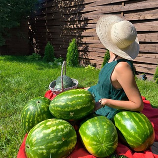 Психолог Выскорка Наталия