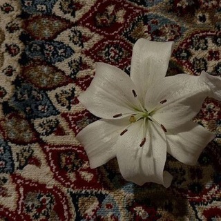 دِفْءٌ