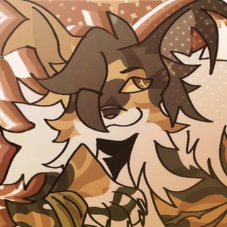 Warriors Cats Confession || WCC