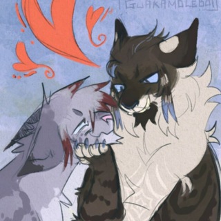 🪷warrior cats ship confessions