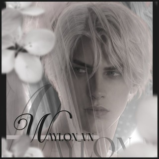 waylon || visual novell