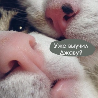 Вкатываемся в Айти (Канал)