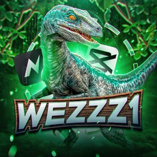 Wezzz1337🦕