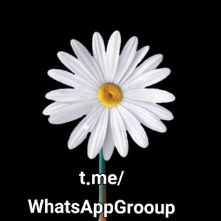 قناة نشر روابط مجموعات واتساب قناه روابط قروبات واتساب سعودية واتساب واتس وتس وتسب وتساب وات سب وتس أب روبط وتسب
