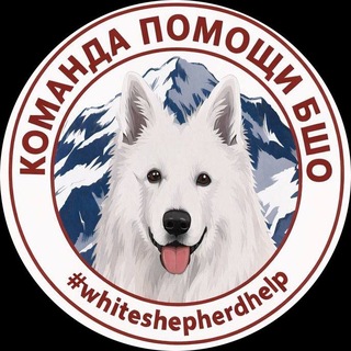 Команда помощи БШО