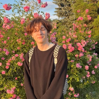 𝙬𝙞𝙝𝙞𝙠𝙮ム